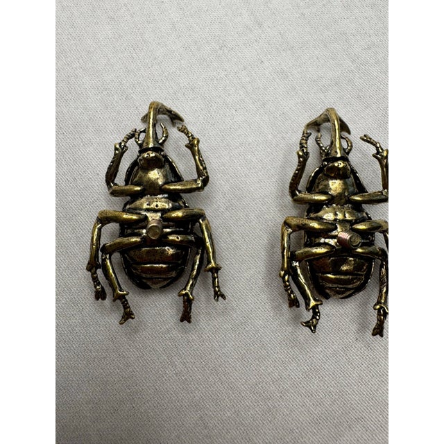 Metal Pair of Vintage Victorian Revival Solid Brass Beetle Cabinet Knobs Hardware For Sale - Image 7 of 12