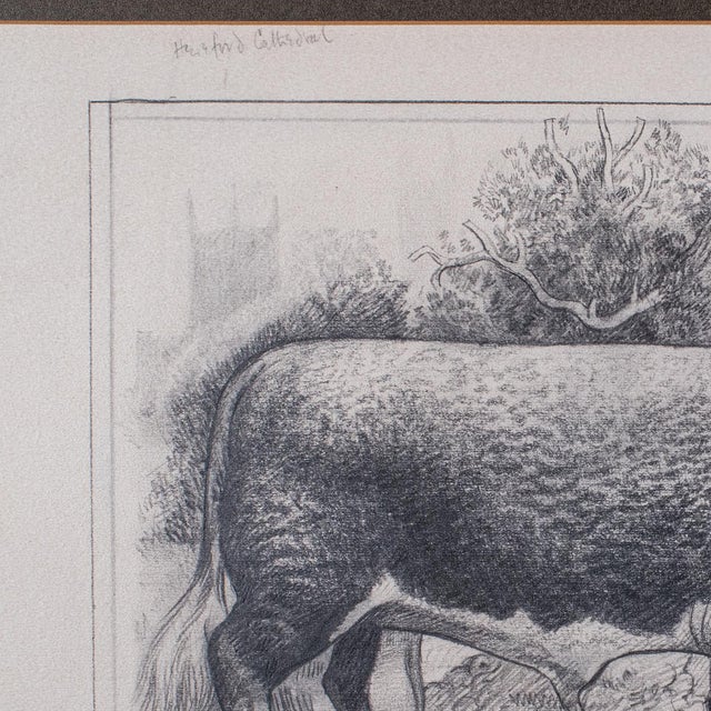 Glass Vintage Hereford Bull Sketch, English, Framed Art, Stamp Proof, Barry Driscoll For Sale - Image 7 of 11