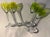 Mid 20th Century Chartreuse and Green Baccarat Cordial Glasses in Genova Pattern - Set of 4 For Sale - Image 11 of 11