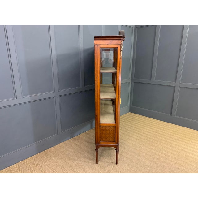 Edwardian Kingwood and Walnut Display Cabinet, 1900s For Sale - Image 11 of 13