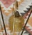 Metal Mid-Century Tripod Floor Lamp in Brass & Glass, 1950s For Sale - Image 7 of 13