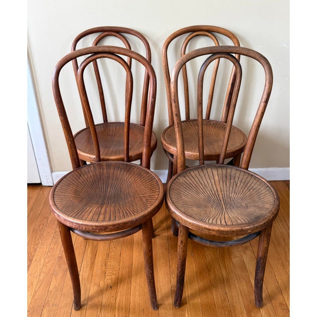 Set of four iconic cafe bistro dining chairs, made in Poland by the Mazowia factory, in the style of Thonet. These period...