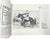 The History & Origin of the Virginia Gold Cup William Myzk 1987 Book For Sale - Image 13 of 16