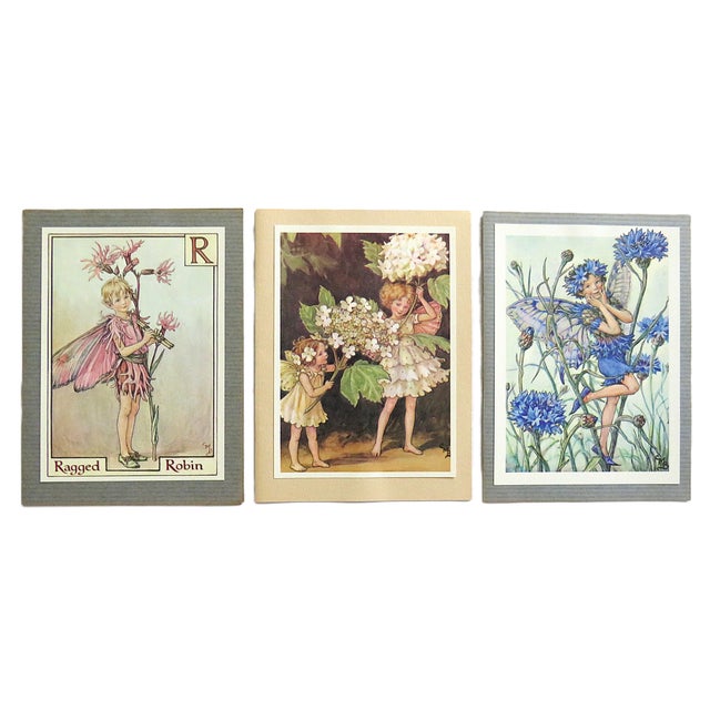 FREE SHIPPING ANYWHERE IN THE CONTINENTAL US! This is a set of 10 Cicely Mary Barker Flower Fairy prints. All but one has...