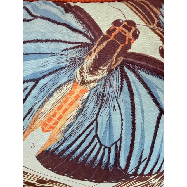 Frontgate Oversized Butterfly 20x20 Accent Pillow With Coral Piping For Sale - Image 4 of 6