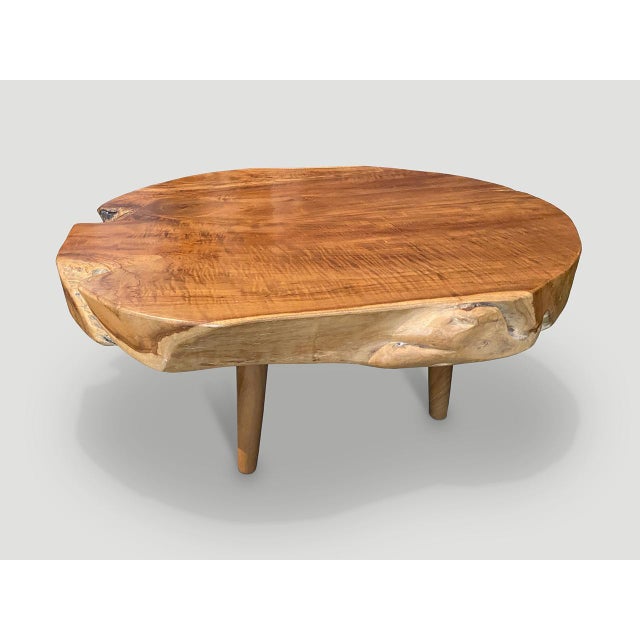 Andrianna Shamaris Mid-Century Style Organic Coffee Table For Sale - Image 14 of 18