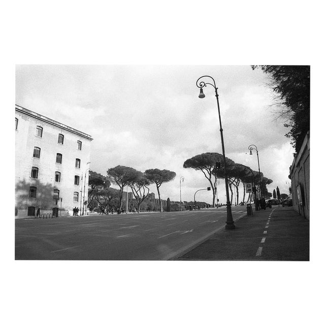 Paul Cooklin, Rome Italy 00029, Edition of 50 For Sale