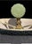 Chinese Carved Stone Foo Dog Lamp With Shade For Sale In San Diego - Image 6 of 6