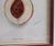 Antique Department of Agriculture Framed Botanical Apple and Peach Lithographs-a Pair For Sale - Image 9 of 15
