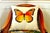 Country Decorative Pillows by Pierre D"Argent: The Butterfly For Sale In Washington DC - Image 6 of 6