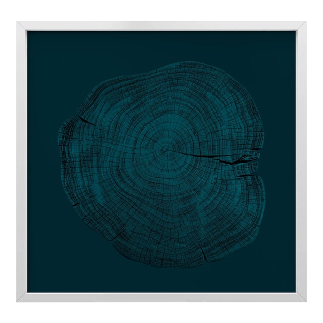 Stump 1 - Variation 15 by Trinette + Chris Print with White Frame - 14 X 14 For Sale