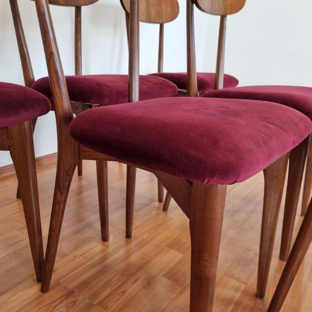 Mid-Century Italian Dining Chairs, 1960s, Set of 6 For Sale - Image 6 of 14