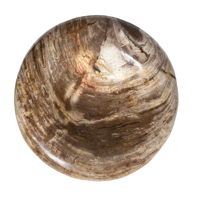 Organic Modern Vintage Petrified Wood Decorative Bowl For Sale - Image 4 of 7