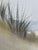 Coastal 1970s Lovely Coastal Dunes Watercolor Landscape For Sale - Image 3 of 4
