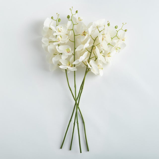 Made to look 100% realistic you, d swear this exquisite orchid was cut this morning. Artfully arrange in a tall glass jar...