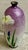 Early 20th Century Miniature Antique Japanese Meiji Era Cloisonné Enamel Ginbari Vase in Silver With Irises, Signed For Sale - Image 5 of 12