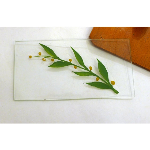 Large Art Deco Biscuit Tin, 1930s For Sale - Image 11 of 13