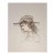 Edna Hibel "Ove" & "Elisabet"- Signed Lithographs-Two (2) Child Portraits - 10 1/4 X 16- Child Portraits Unframed For Sale