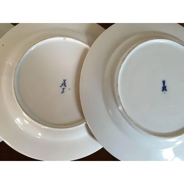 Group of three early 19th c. Meissen porcelain botanical plates. each plate decorated with a different hand painted flower...