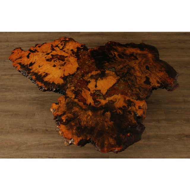 Mid-Century Modern The Burlwood Co. Star Dust Redwood Burl Live Edge Coffee Table For Sale - Image 3 of 18