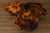 Mid-Century Modern The Burlwood Co. Star Dust Redwood Burl Live Edge Coffee Table For Sale - Image 3 of 18