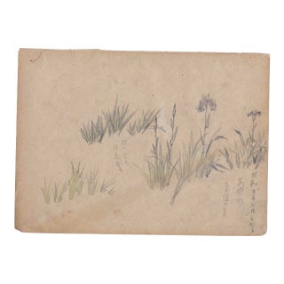 Japanese Irish Drawing and Watercolor For Sale