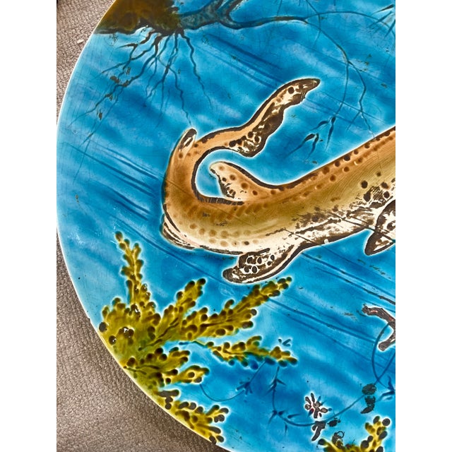 Majolica Marine Life Charger by Rare Schutz Cilli 19Th Century. For Sale - Image 4 of 12