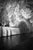 Not Yet Made - Made To Order Paul Cooklin, Bruges, Belgium 44, Edition of 50 For Sale - Image 5 of 5
