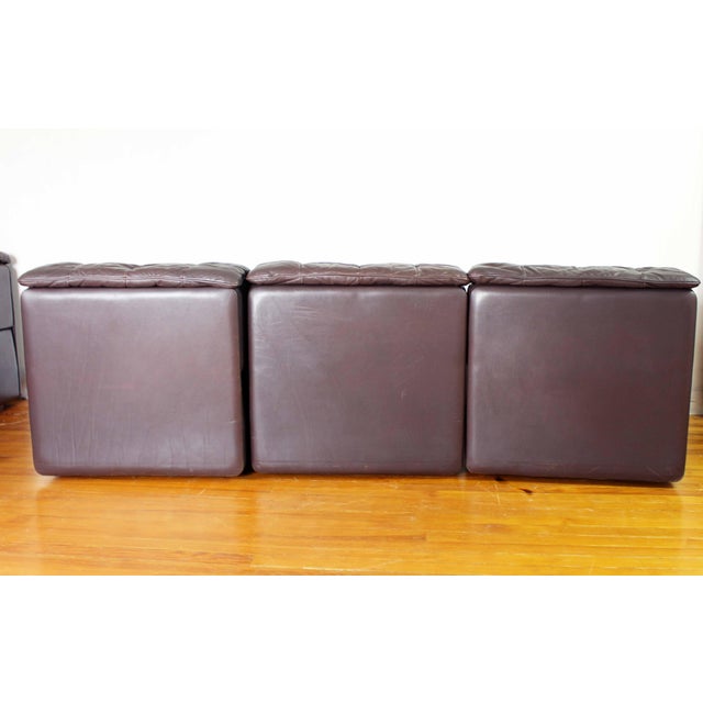 Animal Skin Leather Model Ds 11 Modular Sofa from de Sede, 1970s, Set of 7 For Sale - Image 7 of 18