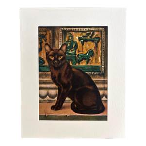 Vintage 1965 Girard Goodenow Cat Print in 16x20 Mat, Ready to Frame: Burmese