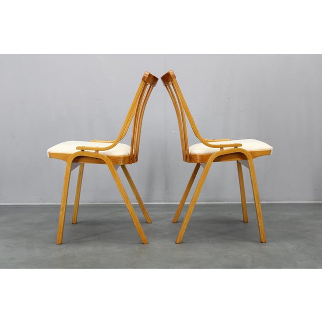 Mid-Century Dining Chairs from Jitona, 1960s, Set of 4 For Sale - Image 18 of 18