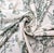 2000 - 2009 Vintage Kingsway "Hamilton" Floral Cotton After Ralph Lauren's Ashfield Fabric- 5 Yards For Sale - Image 5 of 10