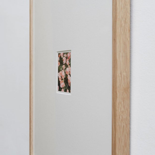 Pink The Rose Garden Nº 21 Print by David Urbano, 2018 For Sale - Image 8 of 9