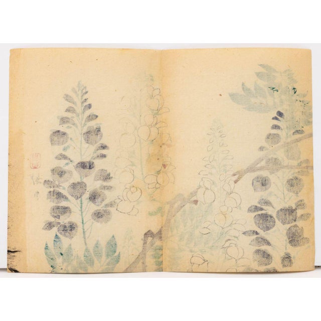Japanese School Botanical Woodblock Prints, 3 For Sale - Image 16 of 17