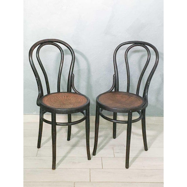 Antique Chairs from Jacob & Josef Kohn, 1800s, Set of 4 For Sale - Image 5 of 8