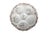 French Antique Haviland & Co. Limoges Oyster Plates - Set of 6 For Sale - Image 3 of 14