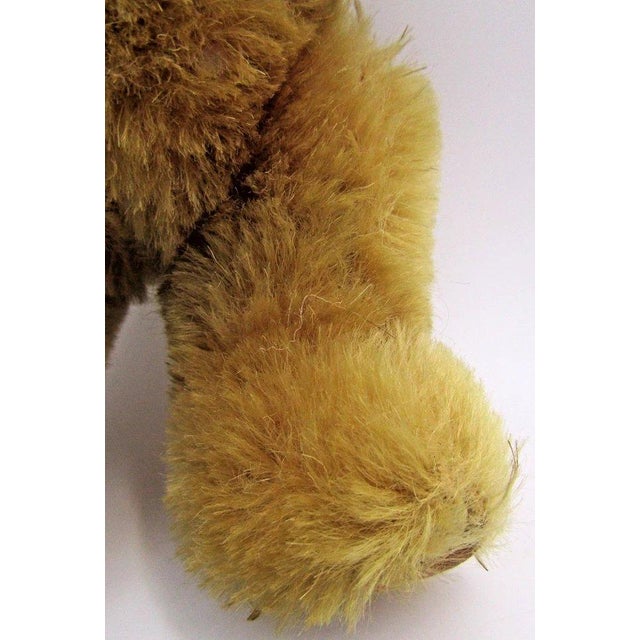 1960s Uk Farnell Golden Mohair Bear With Working Squeak Box Excellent Condition For Sale - Image 4 of 9