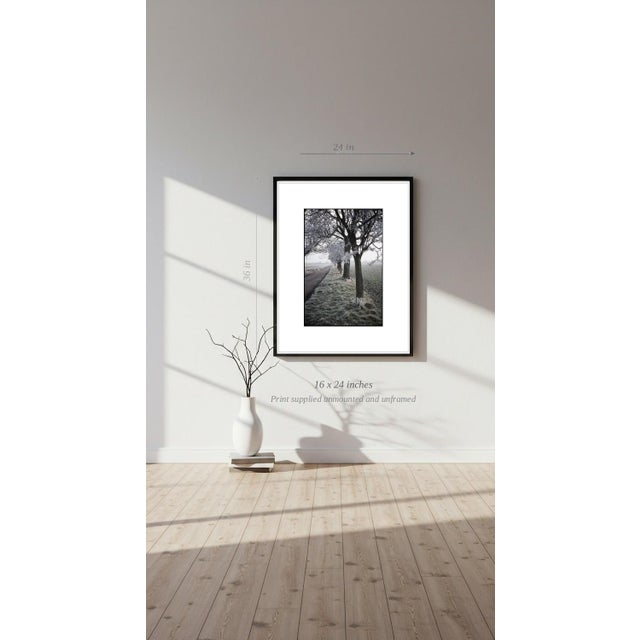 Paul Cooklin, Frosty Trees, Occold, Suffolk, Edition of 50 For Sale - Image 6 of 7
