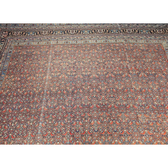 Early 20th Century Bidjar Rug For Sale - Image 13 of 18
