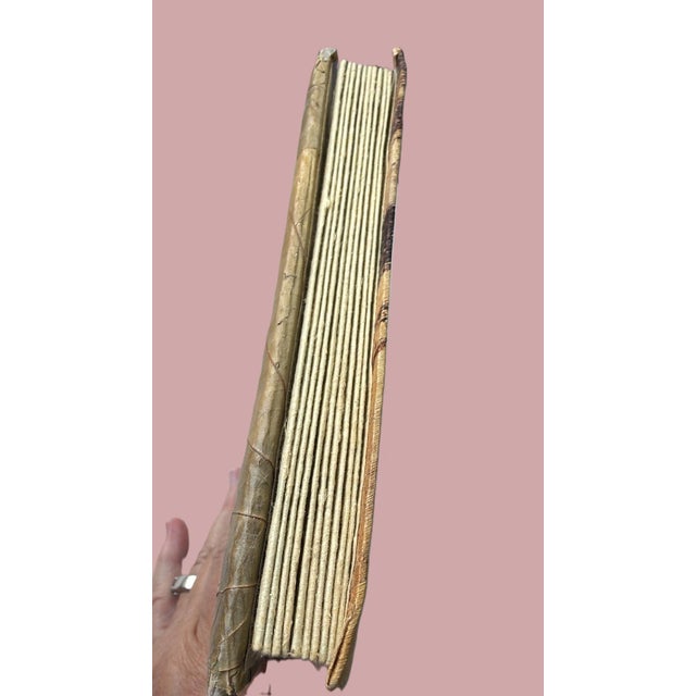 Vintage Flamingo Banana Leaf Photo Album Tropical Hawaiian MCM For Sale - Image 6 of 11