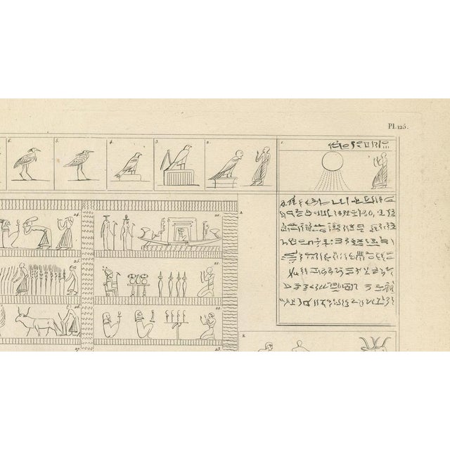 Egyptian Processions and Daily Life Reliefs, 1802, Paper For Sale - Image 4 of 9
