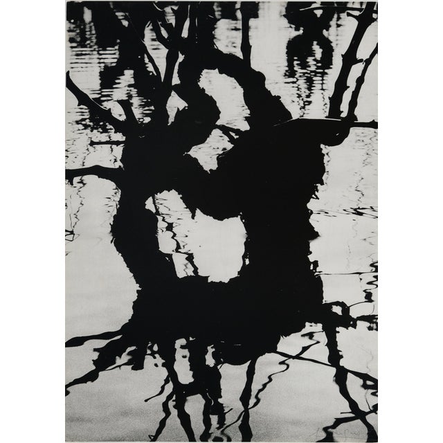 Lucien Clergue, Fourgues, Etching For Sale