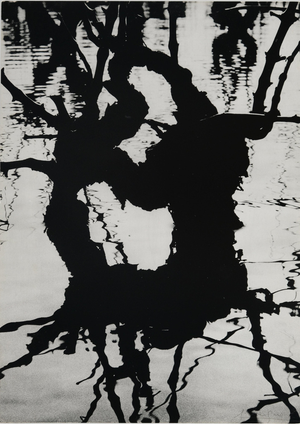 Lucien Clergue, Fourgues, Etching