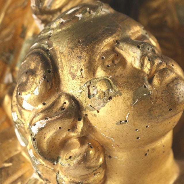 Golden Cupids in Carved and Gilded Wood For Sale - Image 6 of 10