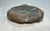 Bronze Antique Chinese Qing Dynasty Bronze Censer Incense Burner Stand For Sale - Image 8 of 10