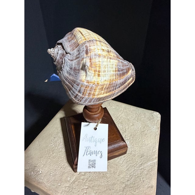 Celestial Meets the Sea Wooden Candlestick Topped With Shell-Coastal Art Sculpture For Sale - Image 4 of 5