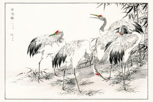 Japanese Cranes Among Bamboo, Vintage Japanese Art Print Reproduction, 24" X 16"