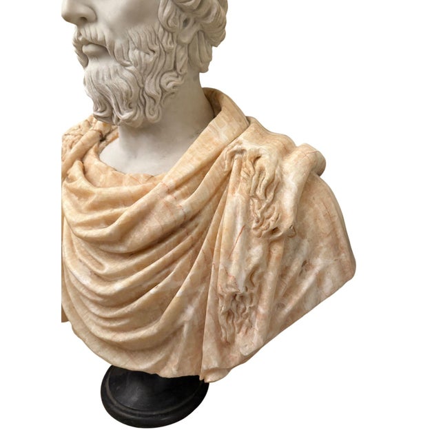 Stone Bust of Roman Emperor Septimius Severus on Black Marble Base. Italy 20th Century For Sale - Image 7 of 10