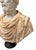 Stone Bust of Roman Emperor Septimius Severus on Black Marble Base. Italy 20th Century For Sale - Image 7 of 10