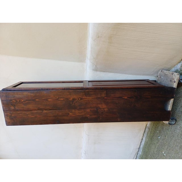 Small Tuscan Chestnut Display Cabinet, Early 1900s For Sale - Image 12 of 18